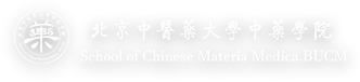风动体育