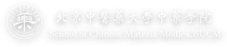 风动体育